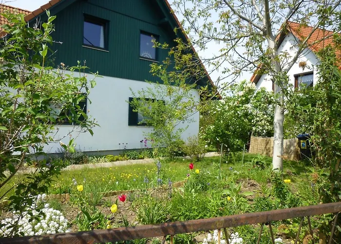 Muelenz * دريسدن